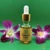 Varnya Oil by Soham Ayurveda
