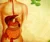 Virechan Ayurvedic Therapy in pune